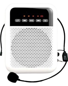 Портативная акустика LAudio WS-VA030 Laudio