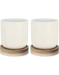 Набор кружек Enzo / OGO-7912007 Ogo