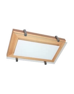 Потолочный светильник Элетех Полесье 280x160 НББ 06-40 М40 ИМ / 1005205881