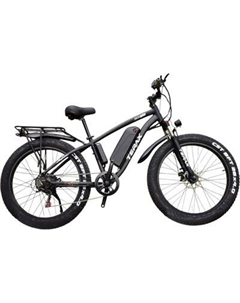 Электровелосипед Terax Neman XD01