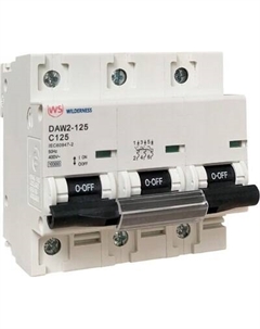 Выключатель автоматический Wilderness DAW2-125 3P 125A х-ка C 10kA (R) / DAW2-125-3-C125