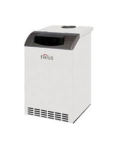 Газовый котел Ferroli Pegasus D 45
