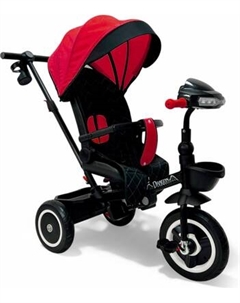 Трехколесный велосипед с ручкой Bubago Dragon / BG 161-2