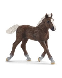 Фигурка коллекционная Schleich Шварцвальдский жеребенок / 13899