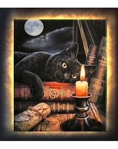 Картина по номерам Молли Час магии 40x50 / LHR0031 Molli