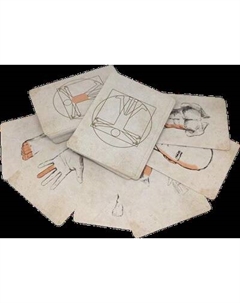 Набор карт для настольной игры Pandora's Box Studio DnD. Pathfinder. Части тела и ранения / 05PB017 Pandora's box studio