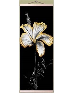 Картина по номерам Флюид Черно-белый гибискус 23x57 / HRP0159