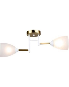 Потолочный светильник Mirastyle SX-N-2216/2 WT+COP