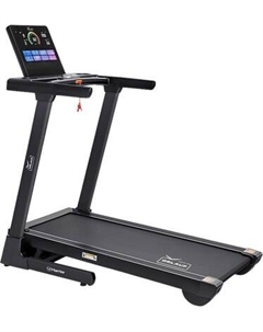 Электрическая беговая дорожка Orlauf Fitness Harrier 16471