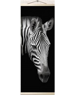 Картина по номерам Молли Зебра на черным фоне 35x88 / HRP0023 Molli