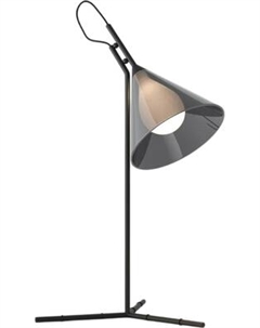 Настольная лампа Евросвет Enigma 01186/1