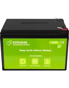 Аккумуляторная батарея EVOLISUN LiFePO4 12.8V 20A Evolisun