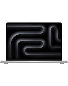 Ноутбук Apple Macbook Pro 14.2" M4 2024 / MW2W3