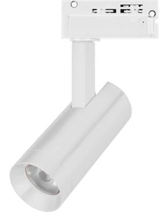 Трековый светильник Arlight LGD-SPOT-2TR-R45-7W Warm3000 WH 24deg / 042537