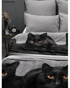 Плед PAVLine Черный котик 150x200 Pavline