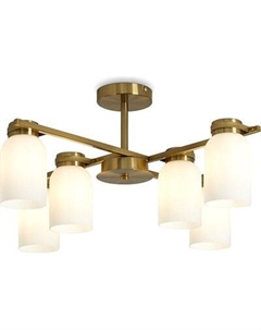 Люстра Freya Kamelia FR5446PL-06BS