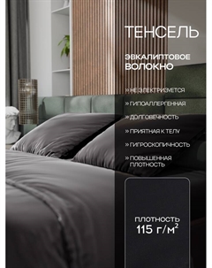Постельное бельё дуэт «», тенсель, чёрное Этель