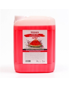 Средство для мытья посуды ARE «Арбуз», ПНД, 5 л Unic