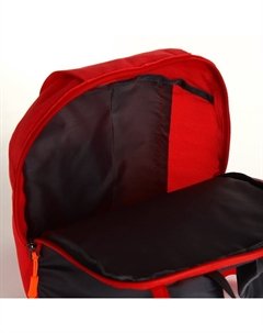 Рюкзак спортивный, на молнии, с карманом, размер 20×11×39 см, красный Textura