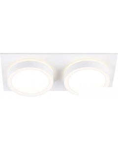 Точечный светильник TN52423/2 WH/FR (белый/белый матовый) Ambrella
