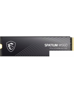 SSD Spatium M560 1TB S78-440L0F0-P83 Msi