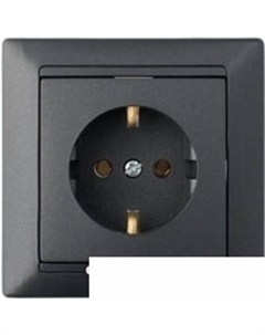 Розетка Стиль РС16-306 (графит) Bylectrica