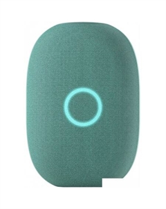 Умная колонка Капсула (хвойный зеленый) Vk