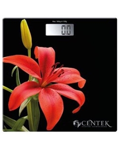 Напольные весы CT-2416 Centek