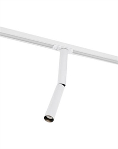 Трековый светильник Maytoni TR142-1-6W3K-W