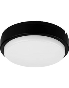 Светильник ЖКХ TDM SQ0366-0146 Tdm