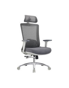 Кресло офисное Evolution Ergo Prime