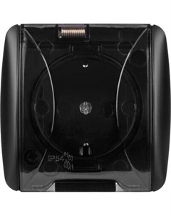 Розетка TDM Селигер SQ1818-0307 Tdm