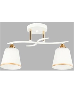 Потолочный светильник Aitin-Pro НПБ 02-2x60-101 / 6100/2 Aitin-pro