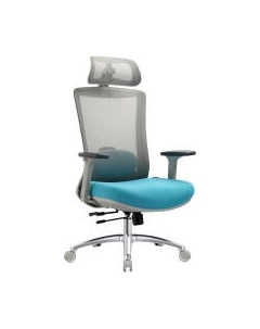 Кресло офисное Evolution Ergo Prime