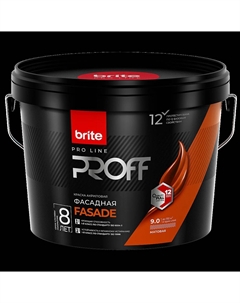 Краска PROFESSIONAL фасадная матовая база С,вед.9л Brite