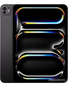 Планшет Apple iPad Pro 11" 2024 256GB (черный космос)