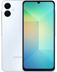 Смартфон Samsung Galaxy A06 SM-A065F 4GB/128GB (голубой)