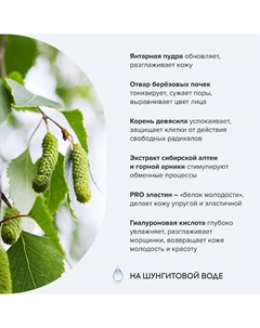 Крем-эффект для лица янтарный дневной 55+ 50 Рецепты бабушки агафьи