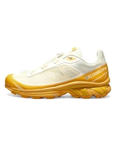 Кроссовки XT 6 Ft 'Vanilla Buckskin' Salomon