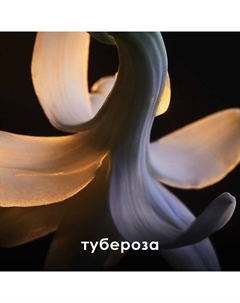 Парфюмерная вода Lady Million Fabulous 30 Rabanne