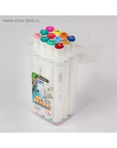 Набор маркеров, профессиональные, двусторонние, 12 шт.,12 цветов, MS-888 Superior