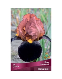 Ирис бородатый «Момаквин», I р-р, 1 шт. 120 h(см), Осень 2025 Поиск
