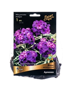 Флокс метельчатый Арлекин, I р-р, 1 шт. 75 h(см), Осень 2022 Поиск