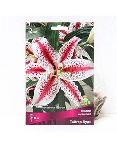 Лилии Восточные «Тайгер Вудс», 14/16 р-р, 2 шт. 90 h(см), Осень 2024 Поиск