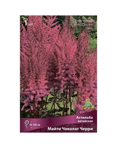 Астильба китайская «Майти Чоколат Черри», I р-р, 1 шт. 90-100 h(см), Осень 2025 Поиск
