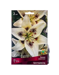 Лилии Азиатские «Центерфолд», 14/16 р-р, 2 шт. 100 h(см), Осень 2025 Поиск