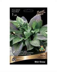 Хоста гибридная Фёст Блаш, I р-р, 1 шт. 70*35 h(см), Осень 2025 Поиск