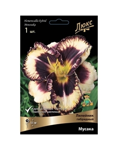 Лилейник гибридный «Мусака», I р-р, 1 шт. 55 h(см), Осень 2024 Поиск