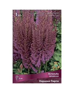 Астильба китайская «Караоке Парти», I р-р, 1 шт. 70 h(см), Осень 2025 Поиск