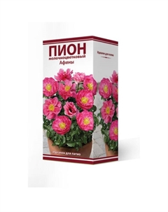 Пионы травянистые для "ПАТИО" Афины, 2-3 р-р, 1 шт. 35 h(см), Осень 2025 Поиск